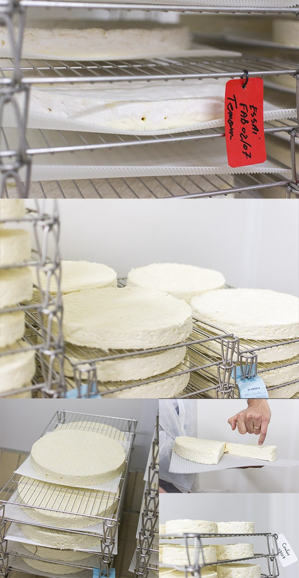Brie de Meaux et Melun AOP : Ferme des Trente Arpents et processus de fabrication