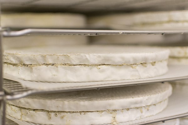 Brie de Meaux et Melun AOP : Ferme des Trente Arpents et processus de fabrication