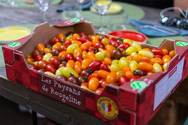 Les Paysans de Rougeline, culture en écoserres de tomates pour le bien de l'environnement