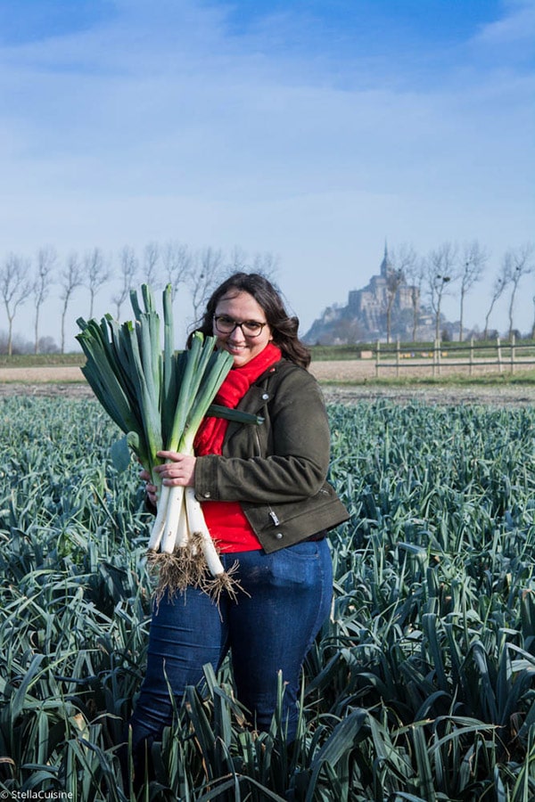 Tout savoir sur le poireau de Normandie : AOP, comment le cuisiner, recettes, production...