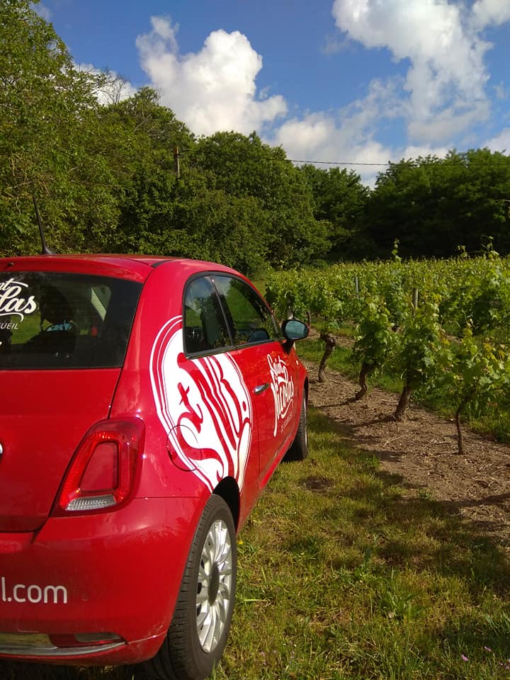 Saint-Nicolas de Bourgueil : vins fruités et légers au bord de la Loire