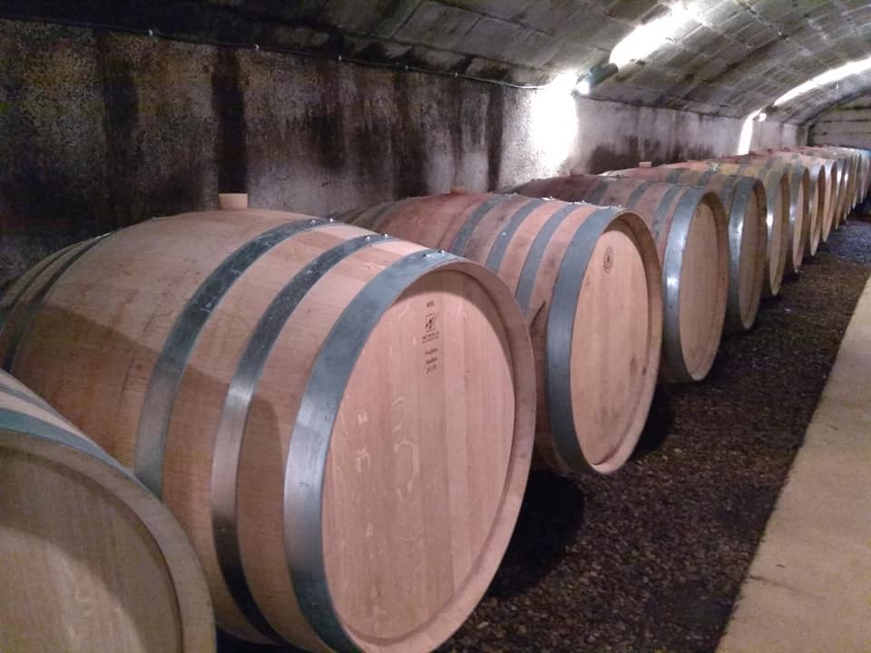 Saint-Nicolas de Bourgueil : vins fruités et légers au bord de la Loire